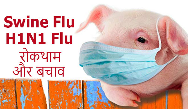Swine Flu Symptoms & Prevention