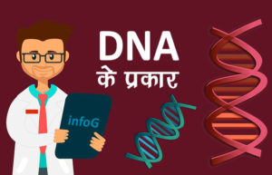 DNA के प्रकार (Types of DNA)