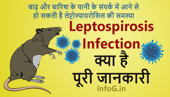 What is Leptospirosis in Hindi.